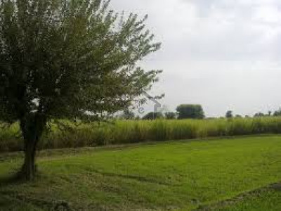 4 Acre Land For Sale In Jati Umra Near Bahria Orchard Lahore