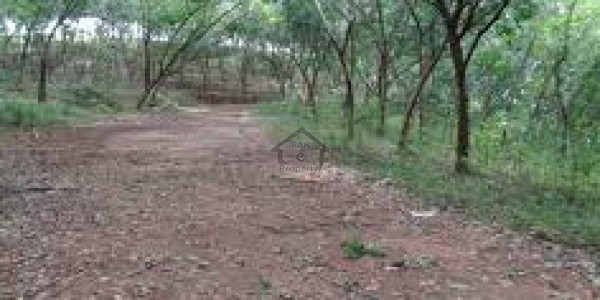 DHA-10 marla Plot Is Available For Sale