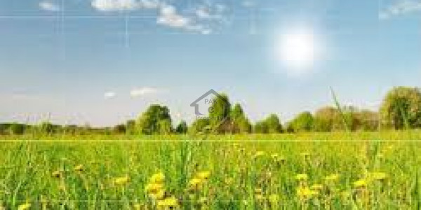 Tandlianwala Town - Area 15 acres located in Chak 506 FOR SALE  IN  Faisalabad