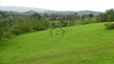 DHA-5 Marla Plot No 1380 Demand 44 Plot For Sale