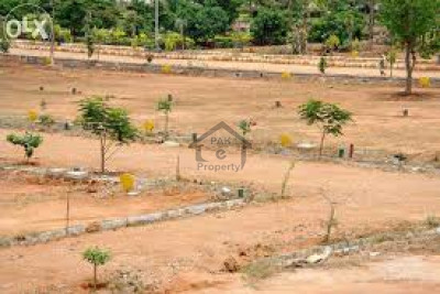 DHA -5 Marla  Plot No 520 for sale