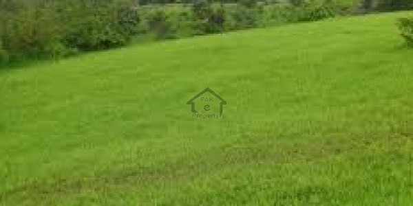DHA -5 Marla  Plot No 520 for sale