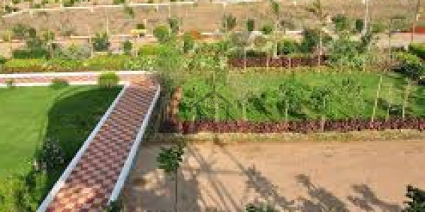DHA -1 Kanal  3 Plots For Sale