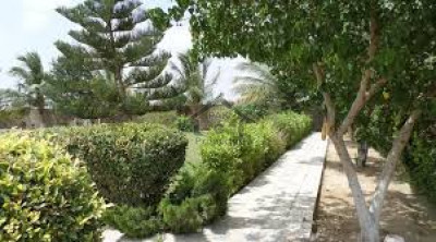 Jati Umra Road -Farmhouse Land For Sale Near To Sharif Medical City  IN LAHORE