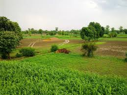 Barki Road, Cantt - Farm House Land For Sale IN LAHORE