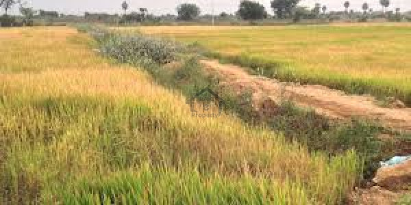 Barki Road, Cantt - 16 Kanal Plot For Farmhouse Cheap Price IN LAHORE