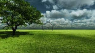 Barki Road, Cantt - Agriculture Land For Sale Best Location IN LAHORE