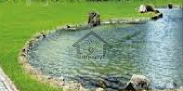 Farm house of size: 100x216 in Block D in Gulberg Islamabad
