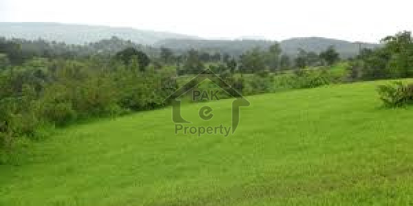 10 Marla Plot in Gulberg Green in Fair & Reasonable Price