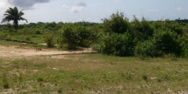 Bedian Road - Ideal Farm Houses Land 2 Kanal IN LAHORE