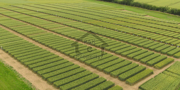 E-17/2 8 Marla Corner Plot Is Available Reasonable Price For Sale