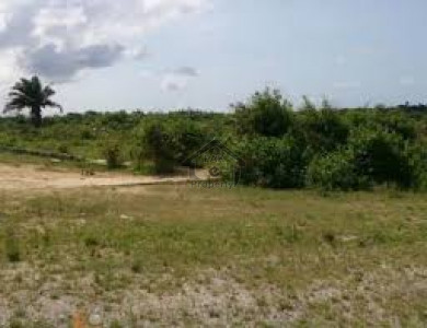 Mouza Derbela Shumali -50 Acre Open Land Available For Sale IN GWADAR