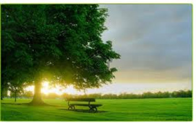 New Murree - Murree Resorts 1 KANAL Plot Available For Sale With 4500ft Height From Sea Level IN MUREE