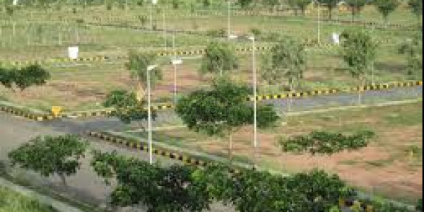 Chinar Bagh - Punjab Block,Plot Is Available For Sale