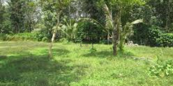 Palm Villas-8 Marla-corner plot for sale