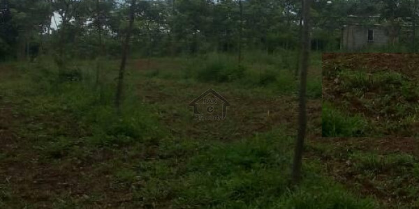 Airline Housing Society - 1 Kanal Residential Plot Is Available For Sale