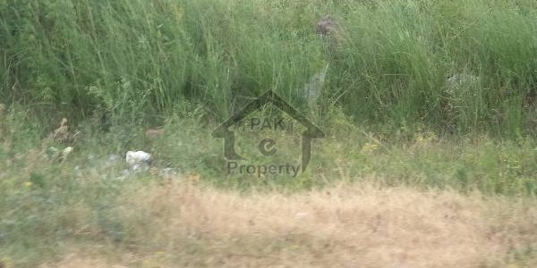 Beautiful Plot Available For Sale In F-16/3, Against of Land - Prime Location