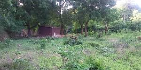 Central Park Housing Scheme, 8 Marla Commercial Plot For Sale