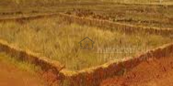 Gulberg Islamabad Residential Plot For Sale