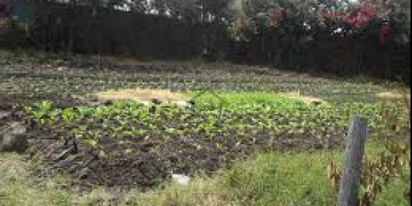 Citi Housing Society - Phase 2-5 Marla- Residential Plot Available For Sale