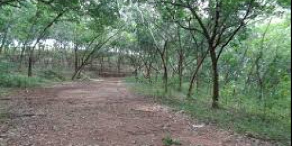Citi Housing Society - Phase 2-5 Marla- Residential Plot Available For Sale