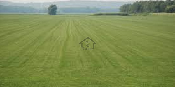 Faisalabad-  6 Marla-  Residential Plot  For Sale