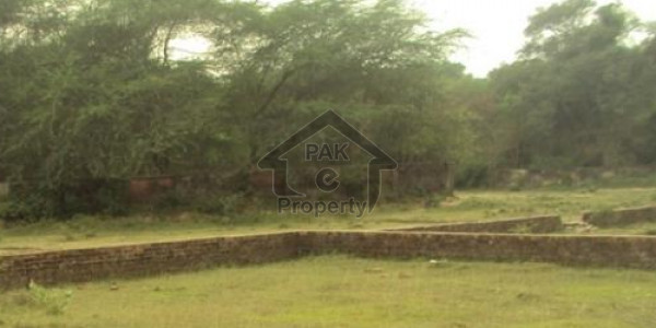Plot No 8 Available For Sale In A Block Of 2 Kanal At 165 Lakh