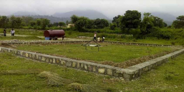 Saeed Colony,12 Marla-Plot Available For Sale