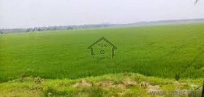 Chishtian Road-  640 Kanal-   Agriculture Land For Sale At Bahawalnagar.