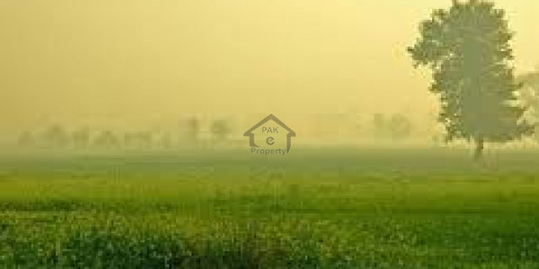New Murree - 5 Marla Plot For Sale IN Murree
