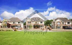 Large Bungalow For Rent - Good Location Of Shahbaz Town