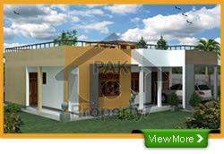 Double Storey House Is Available For Sale