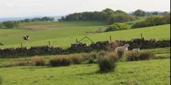 Citi Housing Scheme-7 Marla -Plot For Sale