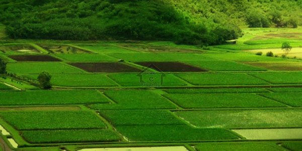 Citi Housing Scheme-   4 Marla-   Plot For Sale.