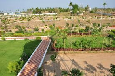 Ali City Garden - 10 Marla Plot For Sale IN Khanpur