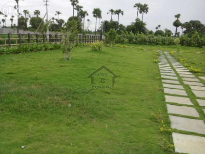 Ali City Garden - 1 Kanal Plot For Sale IN Khanpur
