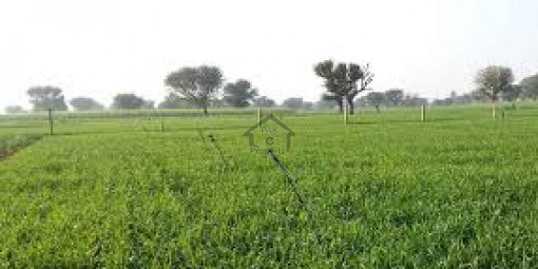 Chakri Road, 500 Kanal -Agricultural Land Is Available For Sale
