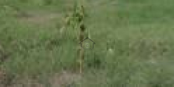 DC Colony - Chenab Block - 10 Marla Plot For Sale IN Gujranwala