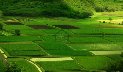 Palm City Housing Scheme,10 Marla-Plot Available For Sale