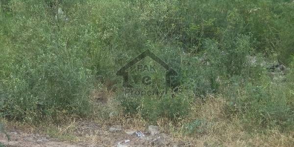 Beautiful Plot Available For Sale In I-16/1 On Prime Location