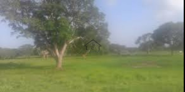 Lalazar, 8 Marla-Plot Is Available For Sale
