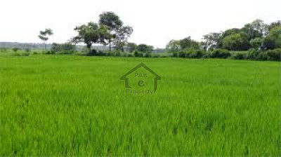 Land Is Available For Sale IN Chakwal