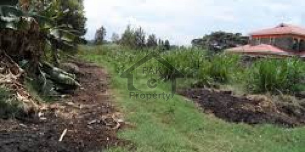 Commercial Plot For Sale