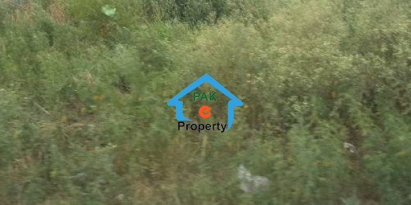 Plot Available For Sale In Sector E-12/1 On Ideal Location