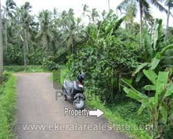 Agricultural Land Is Available For Sale