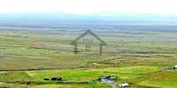 Agricultural Land Is Available For Sale