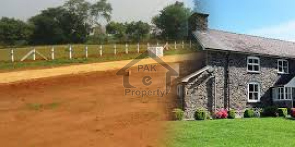 Agricultural Land Is Available For Sale