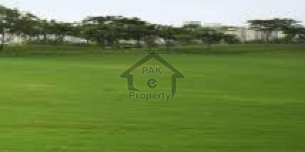 Ten Marla Plot File Available For Sale