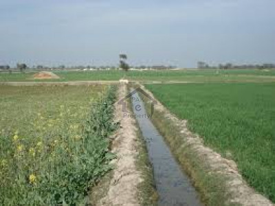 Jamber-Agricultural Land Of 128 Acre For Sale In Kasur