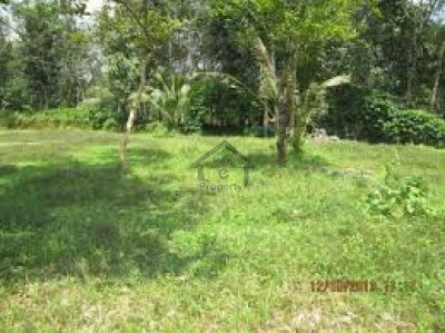 Officers Colony, 10 Marla Plot Is Available For Sale